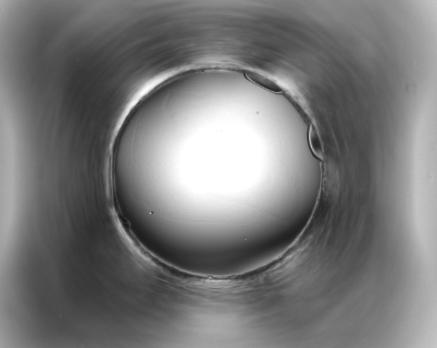 X0000086901295200704301009