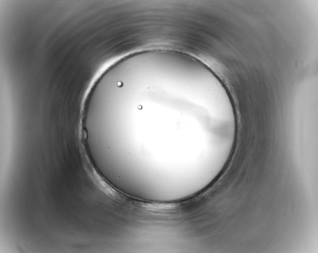 X0000086901296200704301009