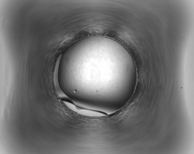 X0000086901297200704301009