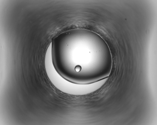 X0000086901298200704301009