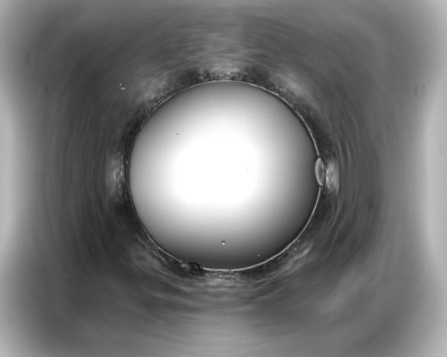 X0000086901299200704301009