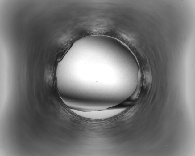 X0000086901300200704301009