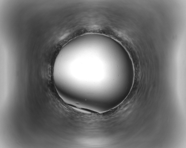 X0000086901301200704301009