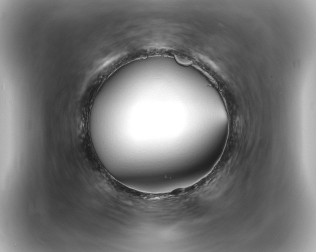 X0000086901303200704301009