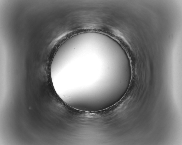 X0000086901304200704301009