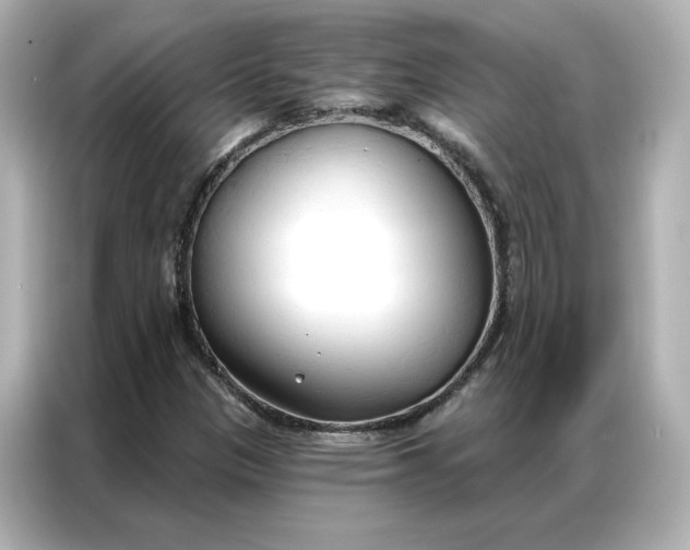 X0000086901305200704301009