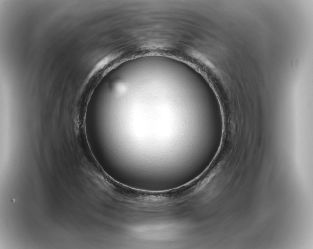 X0000086901306200704301009