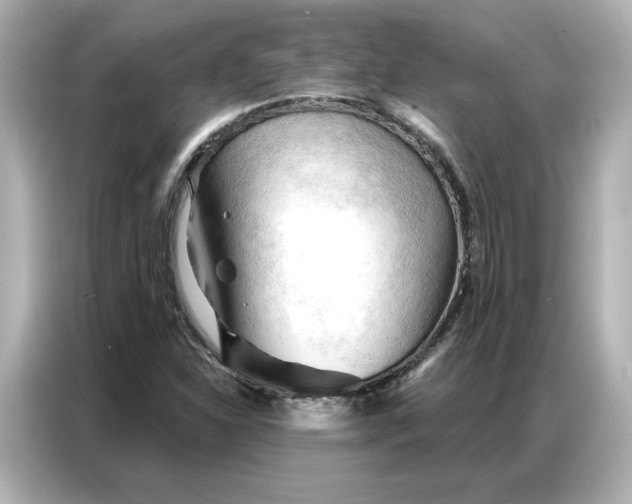 X0000086901310200704301009