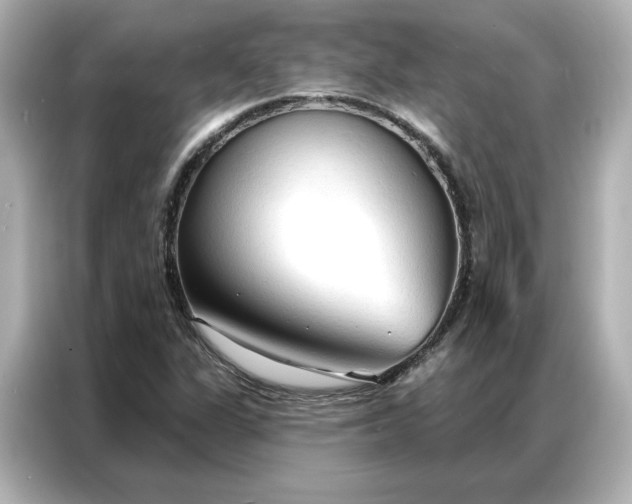 X0000086901311200704301009