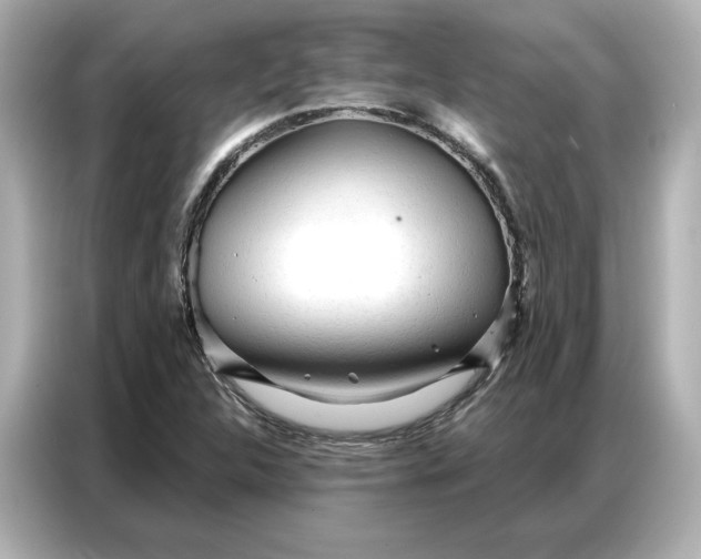 X0000086901312200704301009