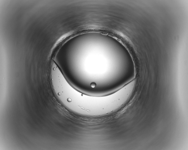 X0000086901314200704301009