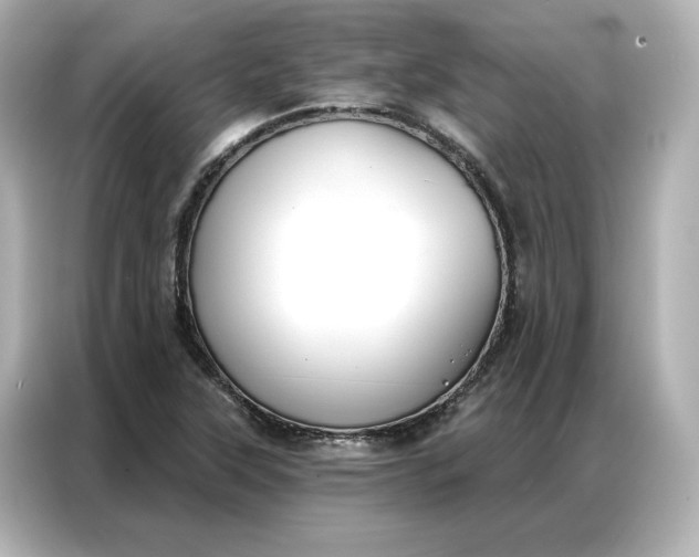 X0000086901315200704301009