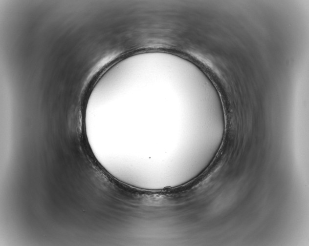 X0000086901317200704301009