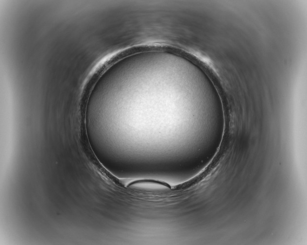 X0000086901319200704301009