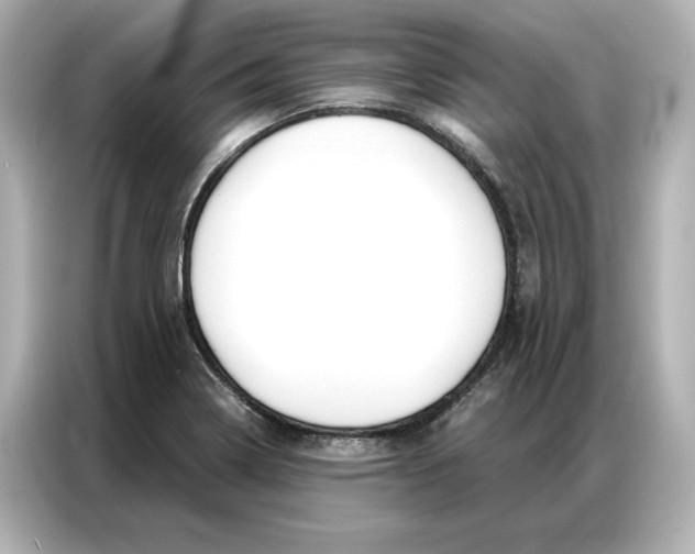 X0000086901322200704301009