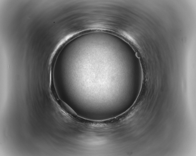 X0000086901323200704301009