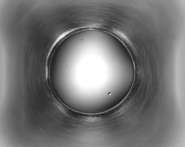 X0000086901324200704301009