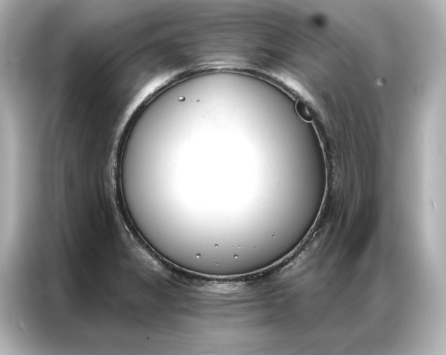 X0000086901325200704301009