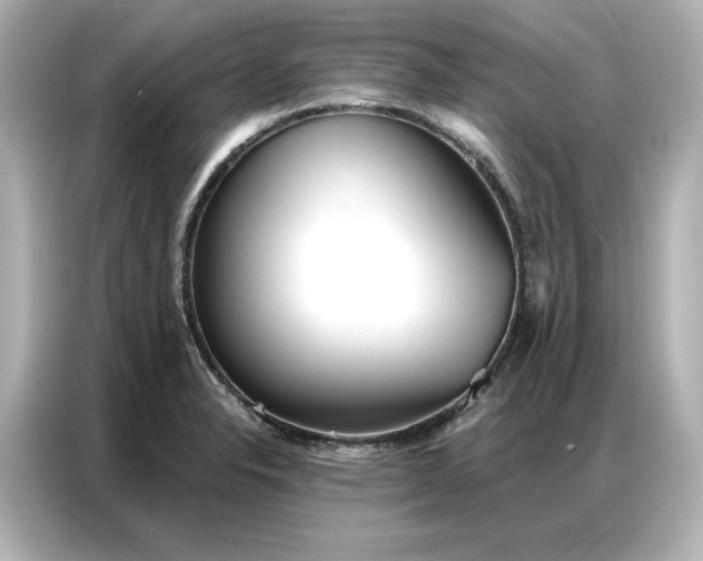 X0000086901326200704301009