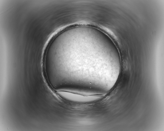 X0000086901327200704301009