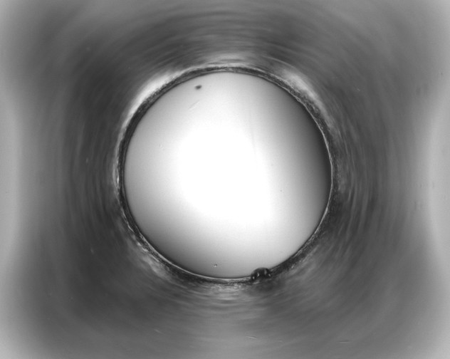 X0000086901328200704301009