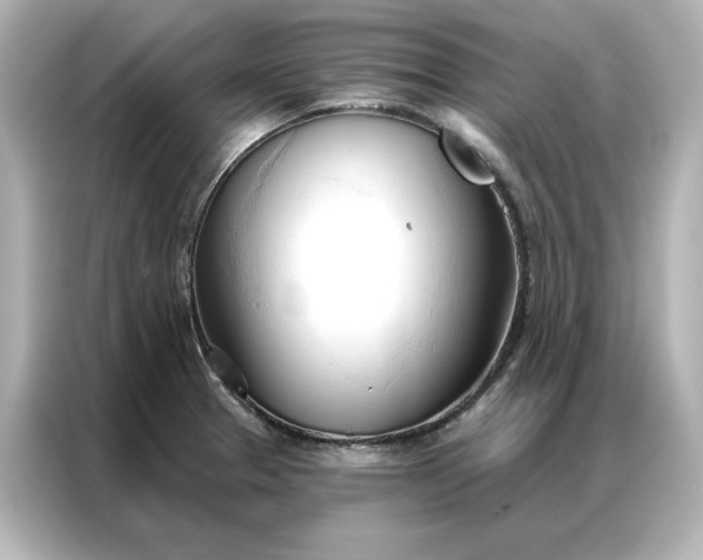 X0000086901329200704301009