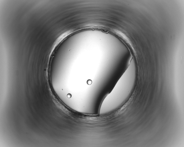 X0000086901330200704301009