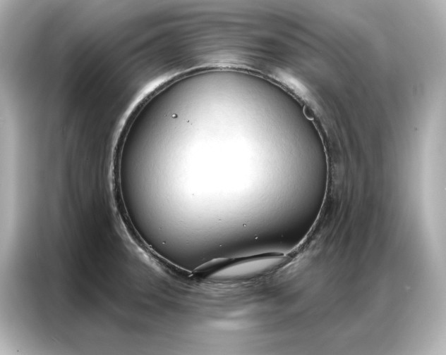 X0000086901331200704301009