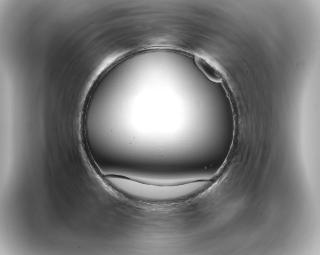 X0000086901333200704301009