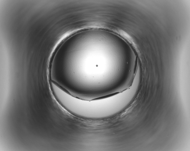 X0000086901334200704301009