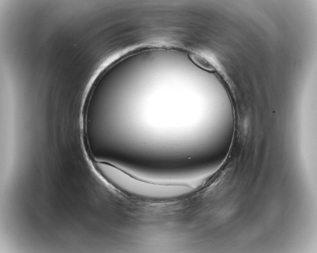 X0000086901335200704301009