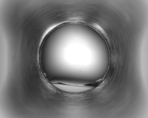 X0000086901336200704301009