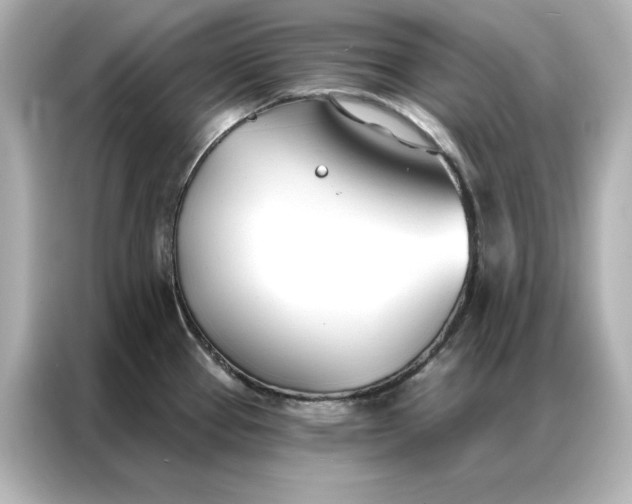 X0000086901337200704301009