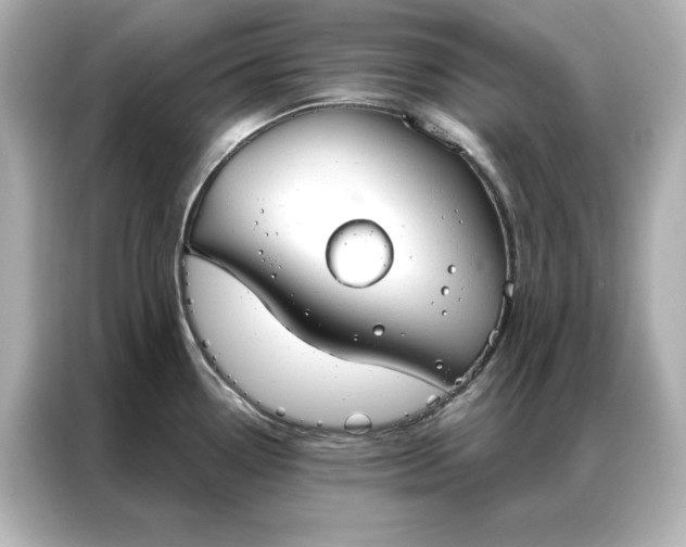 X0000086901338200704301009