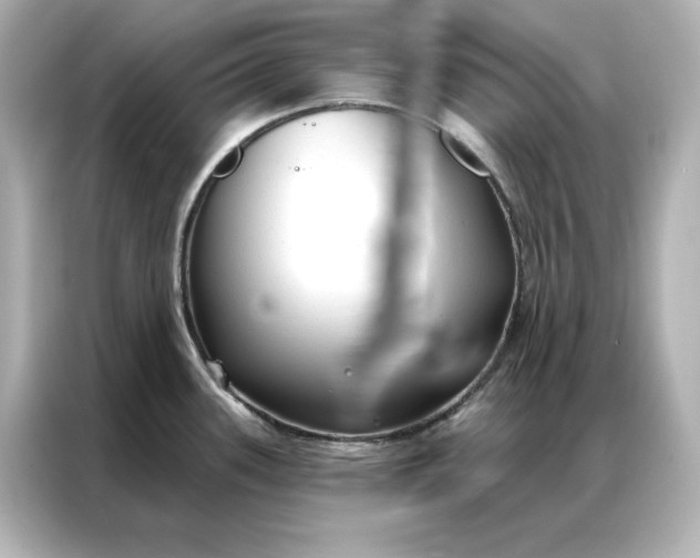 X0000086901339200704301009