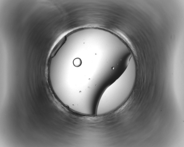 X0000086901340200704301009