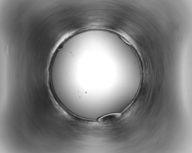 X0000086901341200704301009