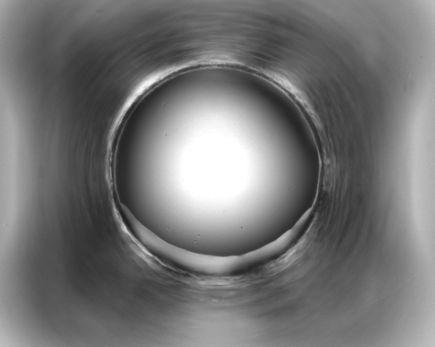 X0000086901342200704301009