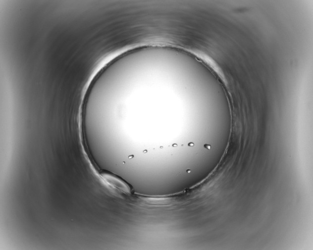 X0000086901343200704301009