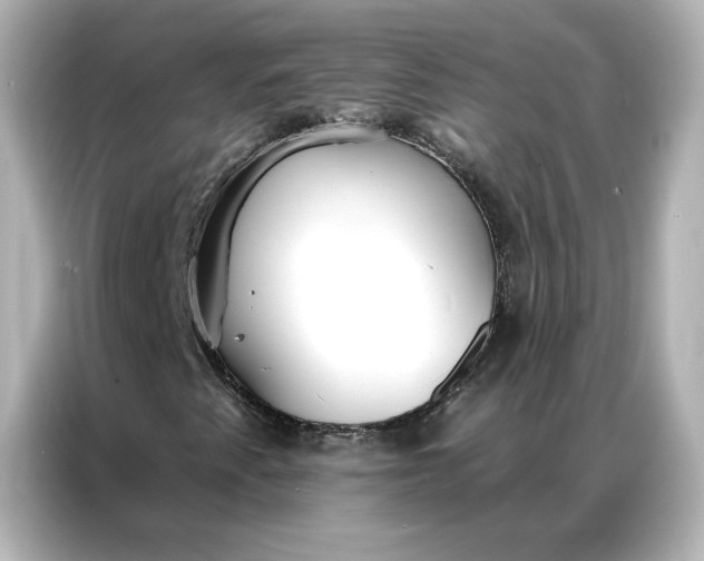 X0000086901345200704301009