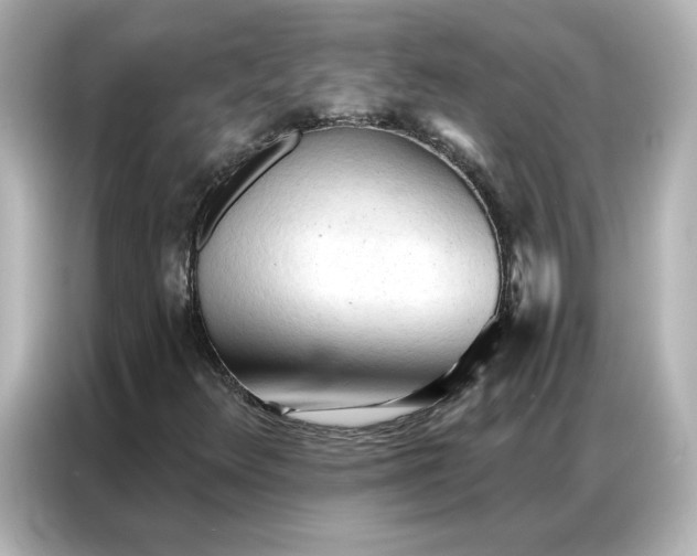 X0000086901348200704301009