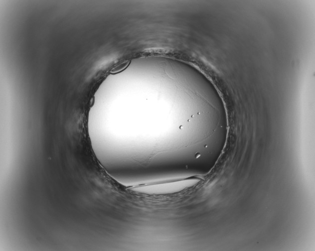 X0000086901351200704301009