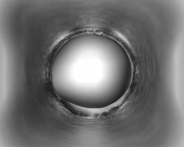 X0000086901352200704301009