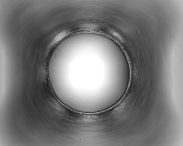 X0000086901354200704301009