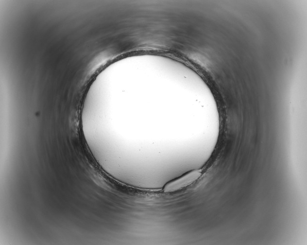 X0000086901355200704301009