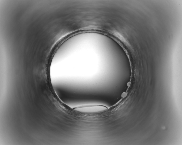 X0000086901356200704301009