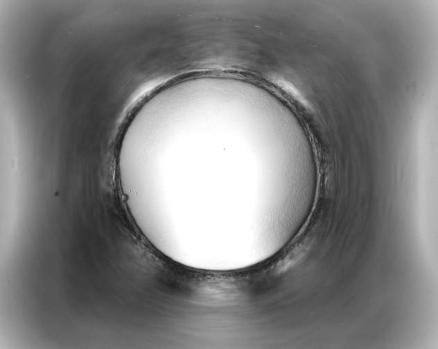 X0000086901358200704301009