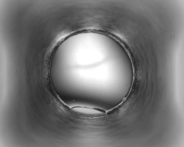 X0000086901359200704301009