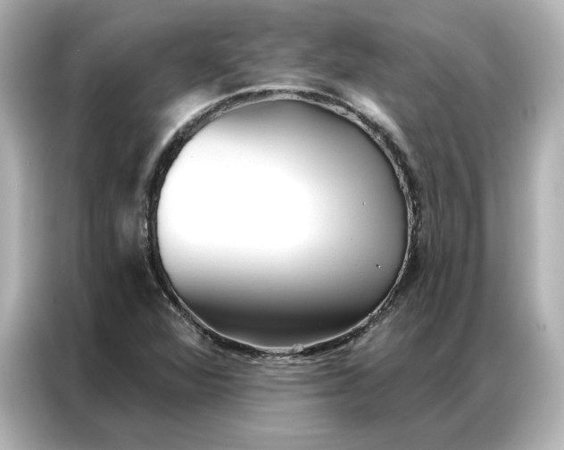 X0000086901360200704301008