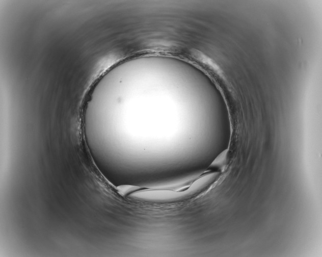 X0000086901362200704301008